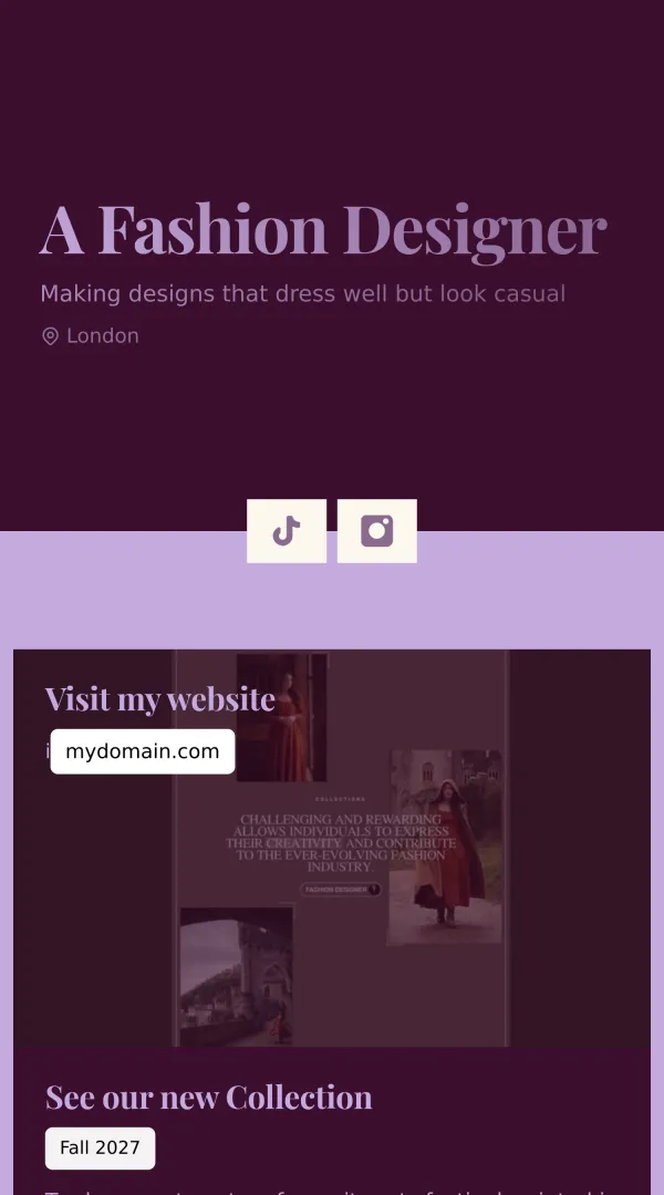 A Fashion Designer